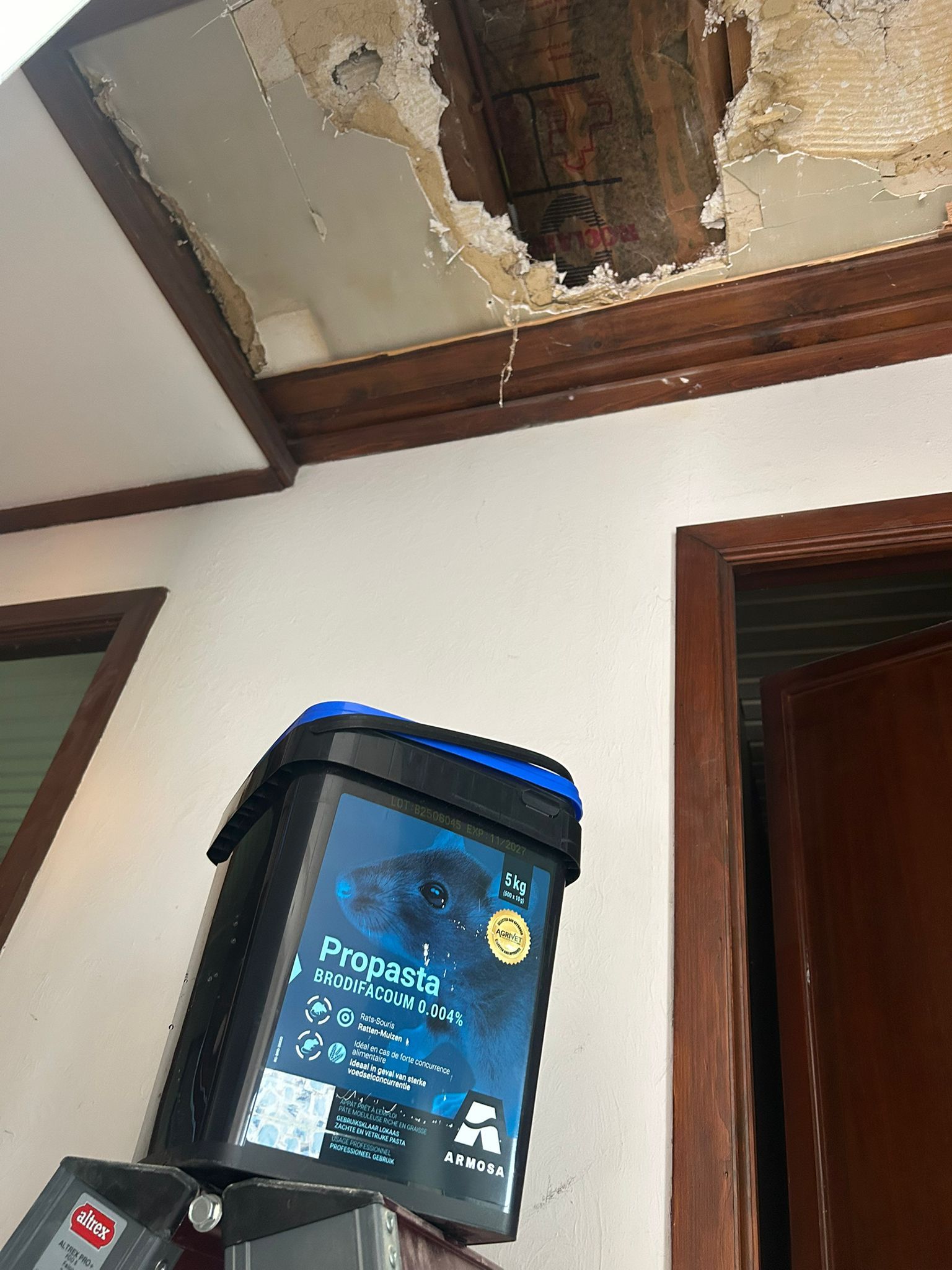 Rongeur faux plafond Xterminexpress