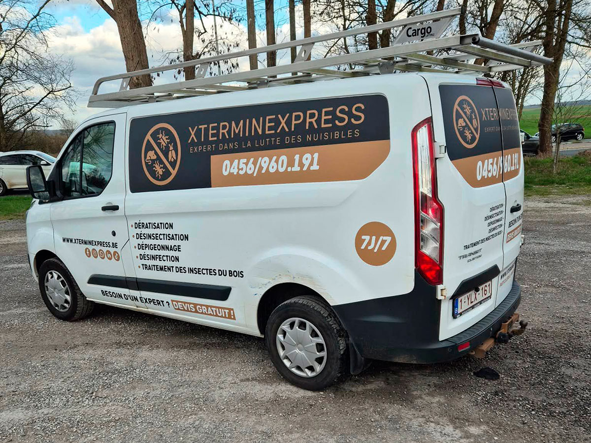 Xtermin Express Suivez nos actualites et nos interventions