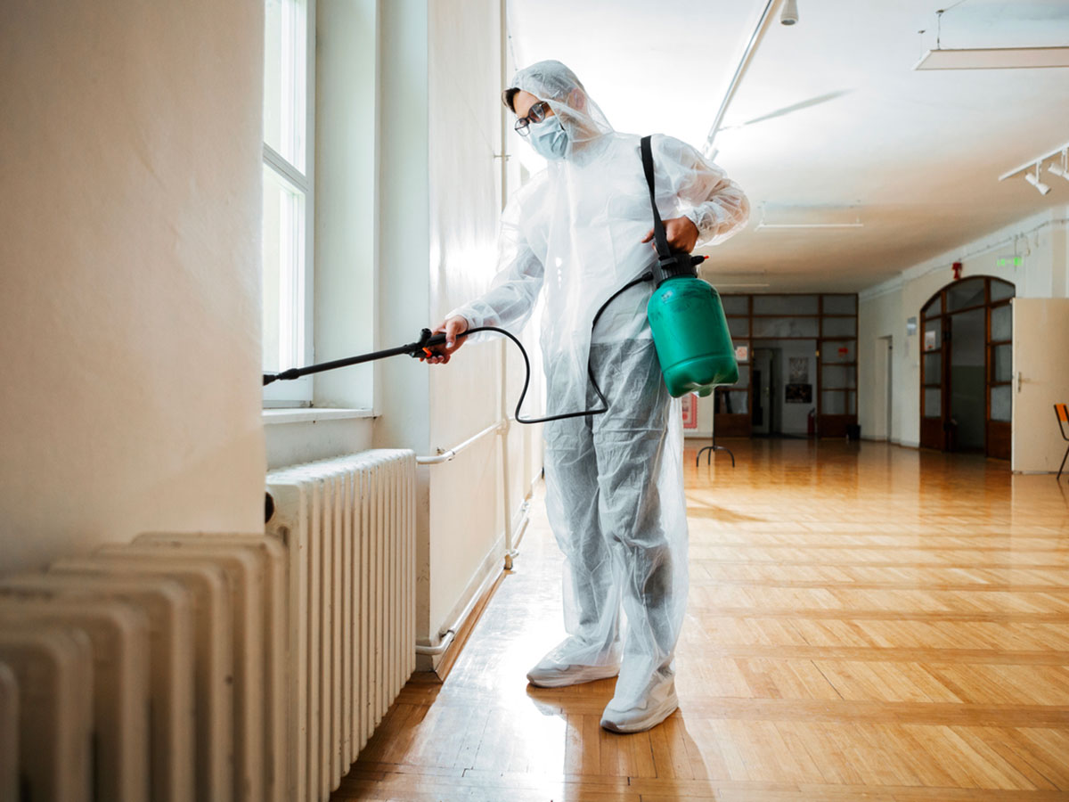Xtermin ExpressLutte antiparasitaire pour les professionnels a Bruxelles